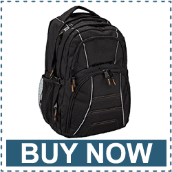 best budget amazon basic laptop backpack