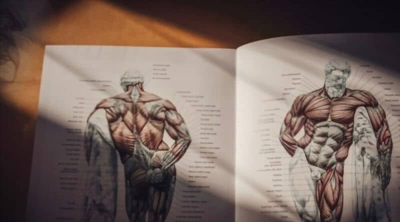 Best Anatomy Books for Medical Students