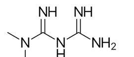 What Is Metformin?